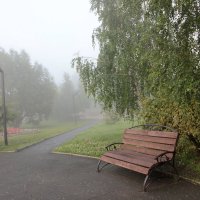 Туман :: victor Lion