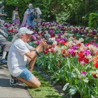 В кадре-краса природы! :: Валерий Готлиб