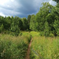 Опять собирается дождик.... :: Алена