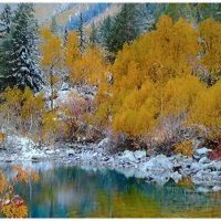 * * * :: Виктор  /  Victor Соболенко  /  Sobolenko