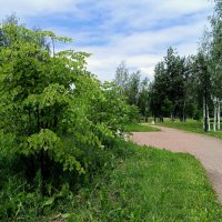 На аллеях парка :: Мария Васильева