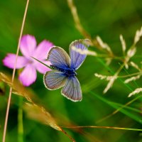 в последний день июня 15 :: Александр Прокудин