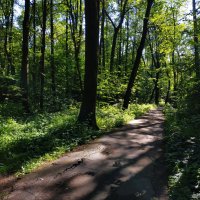 100-я  велофотосессия в сезоне! (Более 1300 км) :: Андрей Лукьянов