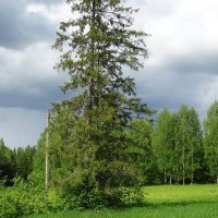 Село Рябово :: Лидия Бусурина