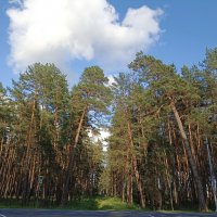 Неба синева :: Pippa 