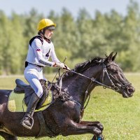 Кросс :: SanSan 