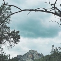 Горная вершина :: Георгиевич 