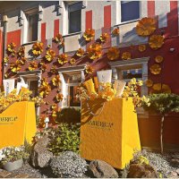 Магазин янтарной косметики. :: Валерия Комова