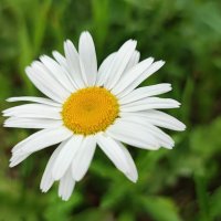 ,,, :: Сергей Тимоновский