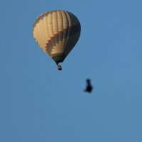 Шар :: Аркадий Басович