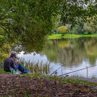 Ловись рыбка, большая и маленькая ... :: Aleksey Afonin