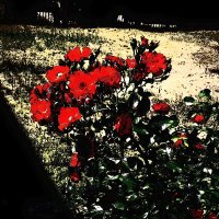 Летние этюды 54 :: Алексей Кузнецов