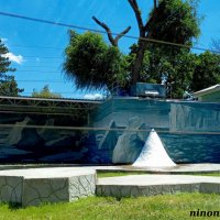 Лето в ростовском зоопарке :: Нина Бутко Лето в ростовском зоопарке :: Нина Бутко