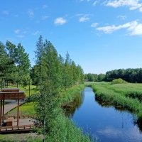 Вид со смотровой вышки. :: Лия ☼ Вид со смотровой вышки. :: Лия ☼