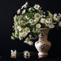 Ромашковый букет, июнь :: Olenka 