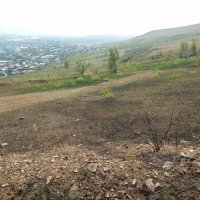 Пал прошел :: Екатерина Панова