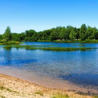 Смоленщина в июле (из поездок по области). :: Милешкин Владимир Алексеевич 