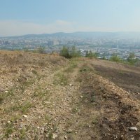 Пал прошел :: Екатерина Панова