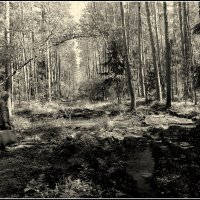 Была дорога :: Aleksandr Gal