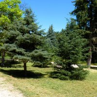 Природа ботанического сада Н В Багрова :: Валентин Семчишин