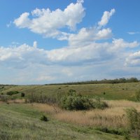 **** :: Виктор 