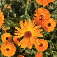 Talgar. :: Murat Bukaev 