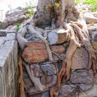 Не давно был день обнимашки :: Георгий А Не давно был день обнимашки :: Георгий А