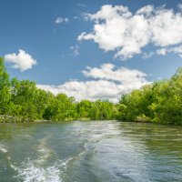 ... :: Жора Житников