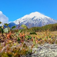 *** :: Марина Виноградова