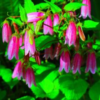 ... :: Владимир иванов ... :: Владимир иванов