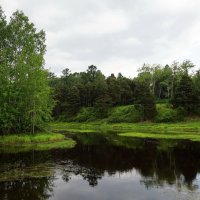 *** :: Николай Гирш