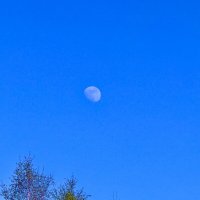 Красавица луна :: Iren Brilliance