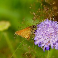 Из снятого сегодня 4 :: Александр Прокудин