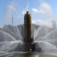 Золотой колос :: <<< Наташа >>>