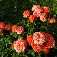 То, что рядом с нами :: Андрей Лукьянов