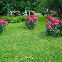 Александровский сад :: Татьяна Тюменка