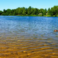 Наше лето (репортаж из поездок по области). :: Милешкин Владимир Алексеевич 