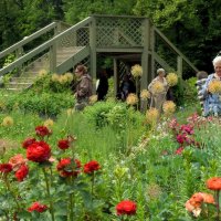 В саду ароматов. :: Татьяна Помогалова