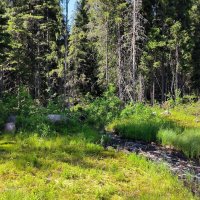 Прекрасный летний день. :: Ольга 