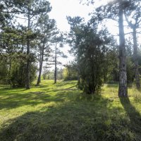 Природа  Крыма :: Валентин Семчишин