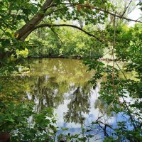 В зоопарке! :: Надежда 