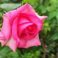 ,,, :: Сергей Тимоновский