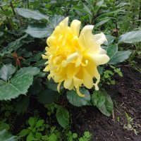 ,,, :: Сергей Тимоновский