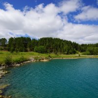 *** :: Николай Гирш