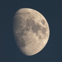 ** :: Виталий Емельянов