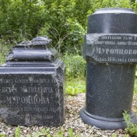 погребальные камни семейства Муромцевых :: Елена Агеева