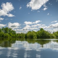 ... :: Жора Житников