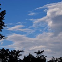 *** :: Павленко Михаил 