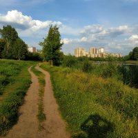 * * * :: Андрей Лукьянов