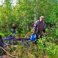 Июль...За боровиками  по...бурелому! :: Владимир 